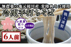 《12/15入金確認分まで年内配送》 ＜ お歳暮熨斗付き ＞ 冷凍 手打ち そば （ 桜パッケージ ） 6人前 蕎麦 生そば 麺 食品 年越し 年越しそば [AN011sa]