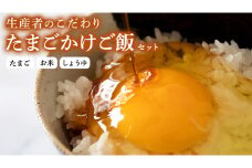 たまごかけご飯セット 卵 玉子 たまご 生卵 鶏卵 タマゴ しょうゆ 醤油 米 コシヒカリ 白米 精米 産地直送 平飼い お取り寄せ 詰め合わせ TKG 卵かけごはん 新生活 一人暮らし 桜川市産 茨城県産 [BT002sa]
