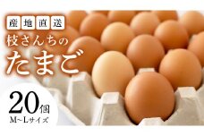  枝さんちのたまご(M～L20個) 産地直送  餌にこだわり 平飼いでのびのび育った卵 卵 非遺伝子組換え [BT001sa]