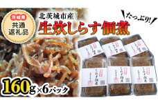 生炊しらす佃煮160g×6パック(茨城県共通返礼品 北茨城市) しらす 佃煮 茨城県 [BV004sa]