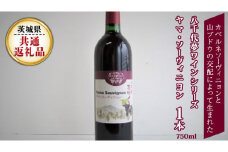 八千代夢ワインシリーズ　ヤマ・ソーヴィニョン(赤ワイン)１本(茨城県共通返礼品 八千代町) 国産 ワイン 赤ワイン [BW002sa]