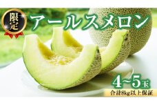 【2025年8月下旬発送開始】 季節 限定 ！甘さ満点 アールスメロン 大箱 （ 4〜5玉 ） 果物 フルーツ 農家直送 産直 青肉メロン 特産品 マスクメロン メロン くだもの 茨城 [BC046sa]