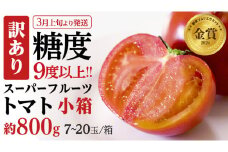 《 2026年収穫分 先行予約 》 訳あり 糖度9度以上 スーパーフルーツトマト 小箱 約800g × 1箱 (7～20玉/1箱) フルーツトマト ブランドトマト 野菜 ギフト 贈答 [BC042sa]