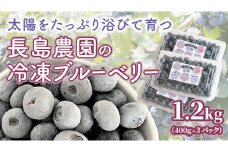 冷凍 ブルーベリー 1.2kg 冷凍ブルーベリー 国産 茨城県産 ベリー 冷凍果実 フルーツ 果物 くだもの 自家製栽培 [AK004sa]
