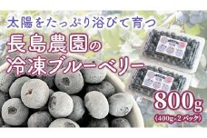 冷凍 ブルーベリー 800g 冷凍ブルーベリー 国産 茨城県産 ベリー 冷凍果実 フルーツ 果物 くだもの 自家製栽培 [AK005sa]