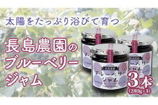ブルーベリージャム 3本 ジャム ブルーベリー 国産 茨城県産 [AK006sa]