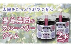 ブルーベリージャム 2本 ジャム ブルーベリー 国産 茨城県産 [AK007sa]