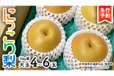 【 先行予約 】 にっこり梨 約3kg 箱 大玉 4玉～6玉 ( 茨城県共通返礼品 城里町 ) 2025年11月上旬から発送開始 フルーツ 甘い お正月 クリスマス 大玉 直送 茨城 限定 [CO001sa]