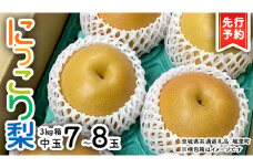【 先行予約 】 にっこり梨 約3kg 箱 中玉 7玉～8玉 (茨城県共通返礼品 城里町) 2025年11月上旬から発送開始 フルーツ 甘い お正月 クリスマス 大玉 直送 茨城 限定[CO002sa]