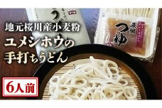 【 手打ちうどん ・ ６人前セット 】 地元 桜川産 小麦粉 「 ユメシホウ 」 使用 うどん 手打ち 麺 食品 [AN002sa]