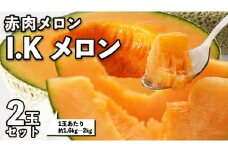 【2026年5月上旬から発送開始】I.K メロン ( 赤肉メロン ) 2玉 セット 糖度15以上 先行予約 農家直送 高級 赤肉 アイケーメロン ブランドメロン フルーツ 果物  くだもの 旬 甘い 香り ギフト 人気 産直 茨城 数量限定 [CT001sa]