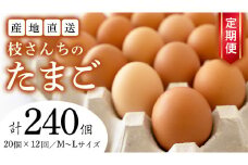 【12ヶ月定期便】枝さんち の たまご 20個×12回 合計240個 定期便 産地直送 たまご 玉子 生卵 鶏卵 タマゴ 平飼い 桜川市産 茨城県産 卵 非遺伝子組換え [BT006sa]