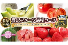 【 定期便 】【 2026年2月下旬から発送開始 全4回 】 数量限定 贅沢 フルーツ 満喫コース 旬の果実 旬のフルーツ くだもの 果実 トマト フルーツトマト スイカ いちご メロン 特選 贅沢 厳選 定期便 [BC056sa]