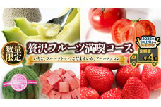 【 定期便 】【 2025年9月上旬から発送開始 全4回 】 数量限定 贅沢 フルーツ 満喫コース 旬の果実 旬のフルーツ くだもの 果実 トマト フルーツトマト スイカ いちご メロン 特選 贅沢 厳選 定期便  [BC057sa]