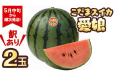【訳あり】  際まで甘い こだまスイカ　愛娘（２玉）【2025年5月中旬より発送開始】スイカ 西瓜 旬 旬の果実 旬のフルーツ くだもの 果実 フルーツ 夏 小玉スイカ 小玉 果物 美味しい [BC061sa]