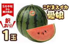 【訳あり】 際まで甘い こだまスイカ 愛娘 （１玉） 【2025年5月中旬より発送開始】 スイカ 西瓜 旬 旬の果実 旬のフルーツ くだもの 果実 フルーツ 夏 小玉スイカ 小玉 果物 美味しい [BC060sa]