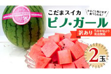 【 訳あり 】【 2025年5月中旬より発送開始 】 こだまスイカ ピノ・ガール （ ２玉 ） 感動必至！ タネが気にならない すいか スイカ 西瓜 旬 旬の果実 旬のフルーツ くだもの 果実 フルーツ 夏 小玉スイカ 小玉 美味しい 茨城 [BC059sa]