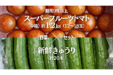 糖度9度以上 トマト 【 2025年収穫分 先行予約 】 スーパーフルーツトマト 中箱 約1.2kg（12~18玉）糖度9度以上 ＆ 新鮮 きゅうり 約20本 野菜セット 2025年2月上旬発送開始 とまと トマト 胡瓜 キュウリ 野菜 サラダ [BC063sa]