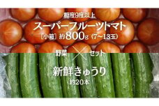 糖度9度以上 トマト 【 2025年収穫分 先行予約 】 スーパーフルーツトマト 小箱 約800g (7～13玉) 糖度9度以上 ＆ 新鮮 きゅうり 約20本 野菜セット 2025年2月上旬発送開始 とまと トマト 胡瓜 キュウリ 野菜 サラダ [BC064sa]