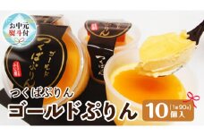 【 お中元 熨斗付き 】  つくばぷりん ゴールドぷりん 10個入  お中元 御中元 贈答 贈り物 夏ギフト 奥久慈卵 卵黄 濃厚 とろける プリン ふじ屋  [AJ010sa]