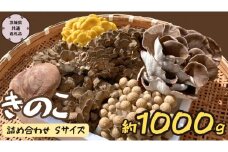 きのこ の 詰め合わせ Sサイズ  約1000g 【茨城県共通返礼品 城里町】 キノコ 舞茸 あわび茸 たもぎ茸 しいたけ ぶなしめじ  [CX001sa]
