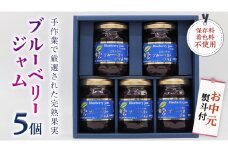 【お中元熨斗付き】ブルーベリージャムセット 5個 ジャム ブルーベリー 国産 茨城 お中元 [AM005sa]