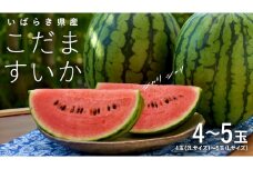 こだま すいか 4玉～5玉 【2025年5月中旬から発送開始】 小玉すいか こだますいか 小玉 スイカ 西瓜 果物 フルーツ 茨城 農家直送 産地直送 [BQ015sa]