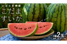 こだま すいか 2玉 【2025年5月中旬から発送開始】 小玉すいか こだますいか 小玉 スイカ 西瓜 果物 フルーツ 茨城 農家直送 産地直送 [BQ016sa]