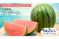 【2025年5月中旬から発送開始】こだますいか ピノガール 2玉 すいか 小玉すいか 小玉 スイカ 果物 フルーツ[BQ018sa]