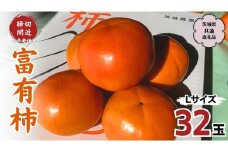 【今年のお届け分、締切間近！】 富有柿 L 32玉 (茨城県共通返礼品 石岡市) 果物 くだもの フルーツ 柿 かき [DC002sa]	