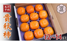 【 先行予約 2025年11月上旬以降発送 】 貴秋柿 12～14玉  (茨城県共通返礼品 石岡市) 果物 くだもの フルーツ 柿 かき [DC006sa]