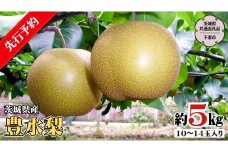 【 先行予約 】 茨城県産 豊水 梨5kg 10玉～14玉入り   (茨城県共通返礼品 ／下妻市） ( 2024年8月上旬発送開始 )  梨 数量限定 なし ナシ フルーツ 果物 旬 産地直送 JA 常総ひかり [DF002sa]