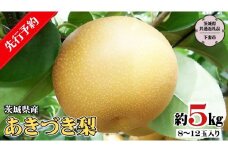 【 先行予約 】 茨城県産 あきづき 梨 5kg 8玉～12玉入り  (茨城県共通返礼品／下妻市）  ( 2024年8月上旬発送開始 )  梨 数量限定 なし ナシ フルーツ 果物 旬 産地直送 JA 常総ひかり  [DF003sa]