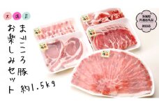 大満足！まごころ豚 お楽しみ セット 約1.5kg（茨城県共通返礼品 鉾田市） ブランド豚 銘柄豚 豚肉 モモしゃぶしゃぶ 肩ロース バラ ロース こま切れ 焼肉 しょうが焼 仲田精肉店 [DB001sa]