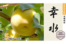 【 先行予約 】 茨城県産 梨 幸水 約5kg 6玉～14玉 (茨城県共通返礼品 かすみがうら市) (2025年8月上旬発送開始) 産地直送 久保田果樹園 フルーツ 甘い 直送 茨城 限定 ギフト 梨 幸水 こうすい 果物 [DH001sa]