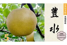 【 先行予約 】 茨城県産 梨 豊水 約5kg 7玉～14玉 (茨城県共通返礼品 かすみがうら市) (2025年8月中旬発送開始) 産地直送 久保田果樹園 フルーツ 甘い 直送 茨城 限定 ギフト 梨 豊水 ほうすい 果物 [DH002sa]