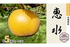 【 先行予約 】 茨城県産 梨 恵水 約5kg 6玉～12玉 (茨城県共通返礼品 かすみがうら市) (2025年9月中旬発送開始) 産地直送 久保田果樹園 フルーツ 甘い 直送 茨城 限定 ギフト 梨 恵水 けいすい 果物 [DH003sa]