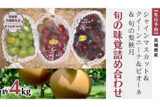【 先行予約 】 茨城県産【 旬の味覚 】シャインマスカット クイーンニーナ と ピオーネ と 旬 の梨 秋月の詰め合わせ 約4kg (茨城県共通返礼品 かすみがうら市)  (2025年9月上旬発送開始) 久保田果樹園 産地直送 フルーツ 甘い 直送 茨城 限定 ギフト ぶどう シャインマスカット クイーンニーナ 秋月 詰め合わせ 食べ比べ 果物 [DH013sa]