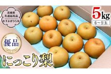 【2023年10月上旬発送開始】 にっこり梨 5kg 箱 優品 6玉～9玉  (茨城県共通返礼品 かすみがうら市)  産地直送 フルーツ 甘い お正月 クリスマス 直送 茨城 限定 にっこり [DI002sa]