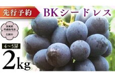 【 2025年9月上旬発送開始 】 BKシードレス 約2kg  (茨城県共通返礼品 石岡市） 開田ぶどう園 産地直送 フルーツ 甘い 直送 茨城 限定 ギフト ぶどう  BKシードレス 果物 [DO009sa]