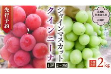 【 2025年9月上旬発送開始 】 クインニーナ ＆ シャインマスカット 詰め合わせ 約2kg  (茨城県共通返礼品 石岡市） 開田ぶどう園 産地直送 フルーツ 甘い 直送 茨城 限定 ギフト ぶどう クインニーナ シャインマスカット 果物 [DO008sa]