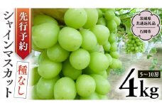 【 2025年9月上旬発送開始 】 シャインマスカット 約4kg  (茨城県共通返礼品 石岡市） 開田ぶどう園 産地直送 フルーツ 甘い 直送 茨城 限定 ギフト ぶどう シャインマスカット 果物 [DO006sa]