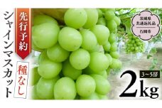 【 2025年9月上旬発送開始 】 シャインマスカット 約2kg  (茨城県共通返礼品 石岡市） 開田ぶどう園 産地直送 フルーツ 甘い 直送 茨城 限定 ギフト ぶどう シャインマスカット 果物 [DO005sa]