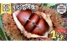 【2025年9月上旬発送開始】鶴沼 の 栗 1kg (茨城県共通返礼品／石岡市) 和栗 国産栗 くり 栗 生栗 オーガニック肥料 果じゅまる園 先行予約 [DQ001sa]