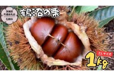 【2025年9月上旬発送開始】鶴沼 の 栗 1kg (茨城県共通返礼品／石岡市) 和栗 国産栗 くり 栗 生栗 オーガニック肥料 果じゅまる園 先行予約 [DQ001sa]