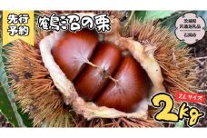 【2025年9月上旬発送開始】鶴沼 の 栗 2kg (茨城県共通返礼品／石岡市) 和栗 国産栗 くり 栗 生栗 オーガニック肥料 果じゅまる園 先行予約[DQ002sa]