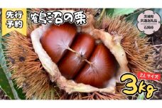 【2025年9月上旬発送開始】鶴沼 の 栗 3kg (茨城県共通返礼品／石岡市) 和栗 国産栗 くり 栗 生栗 オーガニック肥料 果じゅまる園 先行予約 [DQ003sa]