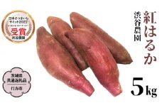 紅はるか 約5kg 【茨城県共通返礼品／行方市】 渋谷農園 さつまいも いも 芋 焼芋 [DT001sa]