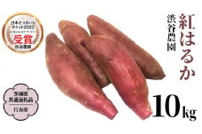 紅はるか 約10kg 【茨城県共通返礼品／行方市】 渋谷農園 さつまいも いも 芋 焼芋 [DT002sa]