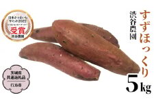 すずほっくり 約5kg 【茨城県共通返礼品／行方市】 渋谷農園 さつまいも  いも 芋 焼芋 [DT005sa]	